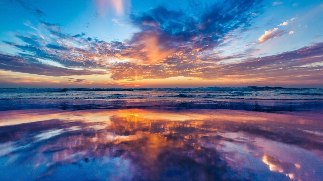 平博集团:健身美女室内对镜